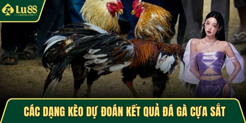 Các dạng kèo dự đoán kết quả đá gà cựa sắt