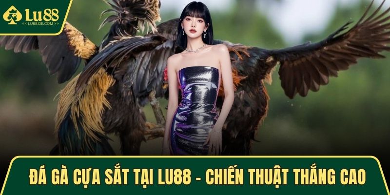 Đá gà cựa sắt