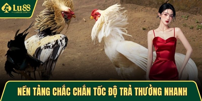 Nền tảng chắc chắn tốc độ trả thưởng nhanh