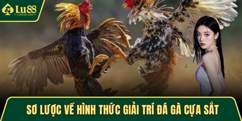 Sơ lược về hình thức giải trí đá gà cựa sắt
