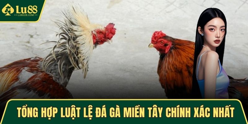 Tổng hợp luật lệ đá gà miền Tây chính xác nhất